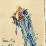 2010.8.7 Guinea Fowl