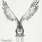 2010.5.30 Snowy Owl